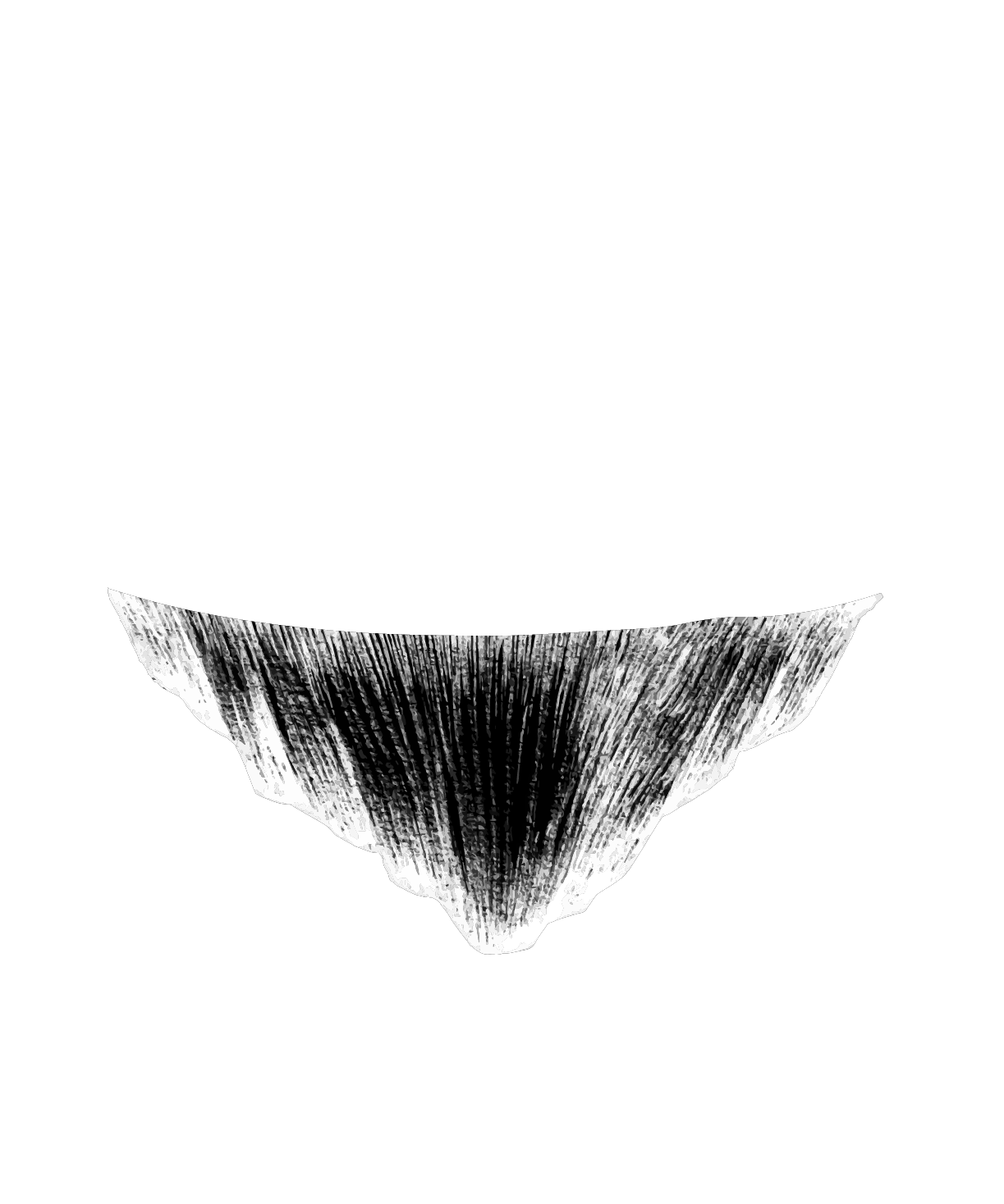 Altauro Film